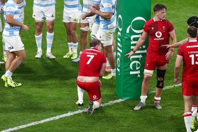 091125 - Wales v Argentina - Quilter Nations Series - Jac Morgan of Wales stays down injured after scoring a try