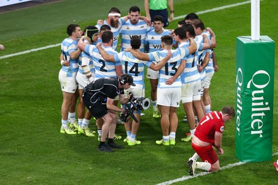 091125 - Wales v Argentina - Quilter Nations Series - Jac Morgan of Wales stays down injured after scoring a try