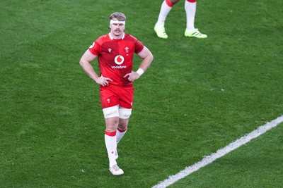 091125 - Wales v Argentina - Quilter Nations Series - Aaron Wainwright of Wales