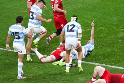 091125 - Wales v Argentina - Quilter Nations Series - Bautista Delguy of Argentina celebrates after scoring a try