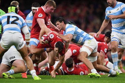 091125 - Wales v Argentina - Quilter Nations Series - Tomos Williams of Wales