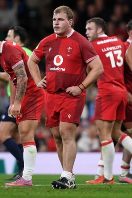 091125 - Wales v Argentina - Quilter Nations Series - Dejected Archie Griffin of Wales at full time