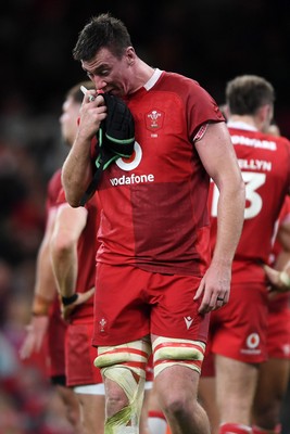 091125 - Wales v Argentina - Quilter Nations Series - Dejected Josh Adams of Wales at full time