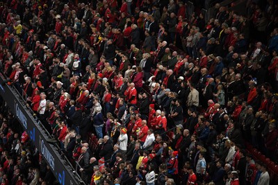091125 - Wales v Argentina - Quilter Nations Series - A minutes silence is held before the match for remembrance Sunday