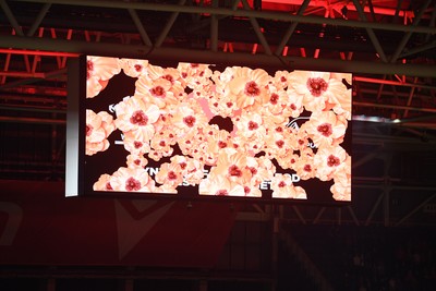 091125 - Wales v Argentina - Quilter Nations Series - A minutes silence is held before the match for remembrance Sunday