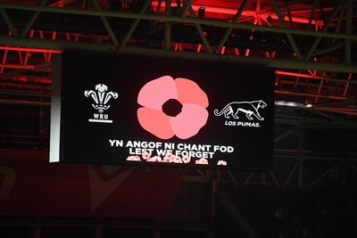 091125 - Wales v Argentina - Quilter Nations Series - A minutes silence is held before the match for remembrance Sunday