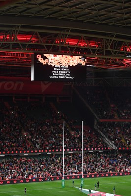 091125 - Wales v Argentina - Quilter Nations Series - A minutes silence is held before the match for remembrance Sunday
