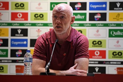 091125 - Wales v Argentina - Quilter Nations Series - Steve Tandy, Wales Head Coach speaks in a press conference after the match
