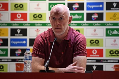 091125 - Wales v Argentina - Quilter Nations Series - Steve Tandy, Wales Head Coach speaks in a press conference after the match