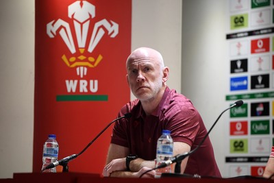 091125 - Wales v Argentina - Quilter Nations Series - Steve Tandy, Wales Head Coach speaks in a press conference after the match