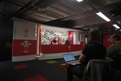 091125 - Wales v Argentina - Quilter Nations Series - Steve Tandy, Wales Head Coach speaks in a press conference after the match