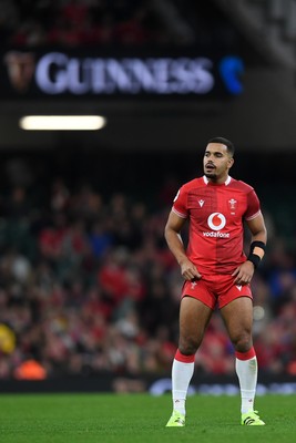 091125 - Wales v Argentina - Quilter Nations Series - Ben Thomas of Wales