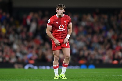 091125 - Wales v Argentina - Quilter Nations Series - Dan Edwards of Wales