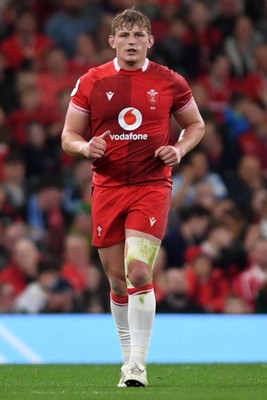 091125 - Wales v Argentina - Quilter Nations Series - Jac Morgan of Wales