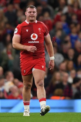 091125 - Wales v Argentina - Quilter Nations Series - Dewi Lake of Wales