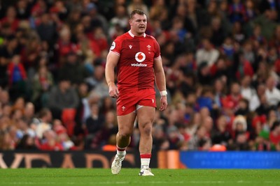 091125 - Wales v Argentina - Quilter Nations Series - Dewi Lake of Wales