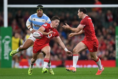 091125 - Wales v Argentina - Quilter Nations Series - Dan Edwards of Wales