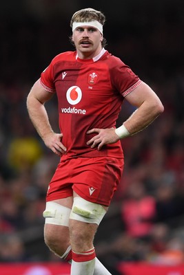 091125 - Wales v Argentina - Quilter Nations Series - Aaron Wainwright of Wales