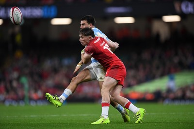091125 - Wales v Argentina - Quilter Nations Series - Dan Edwards of Wales