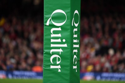 091125 - Wales v Argentina - Quilter Nations Series - Quilter post