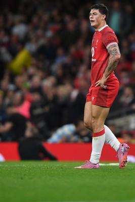 091125 - Wales v Argentina - Quilter Nations Series - Dejected Louis Rees-Zammit of Wales
