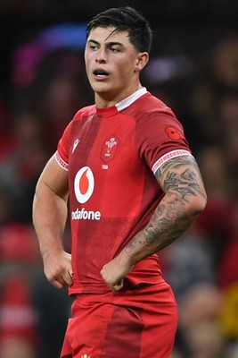 091125 - Wales v Argentina - Quilter Nations Series - Dejected Louis Rees-Zammit of Wales