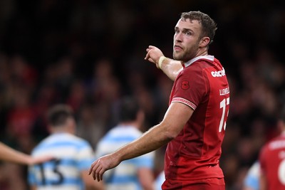 091125 - Wales v Argentina - Quilter Nations Series - Max Llewellyn of Wales
