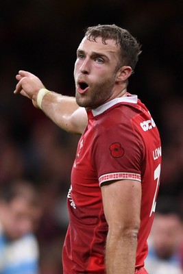 091125 - Wales v Argentina - Quilter Nations Series - Max Llewellyn of Wales