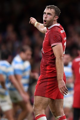 091125 - Wales v Argentina - Quilter Nations Series - Max Llewellyn of Wales