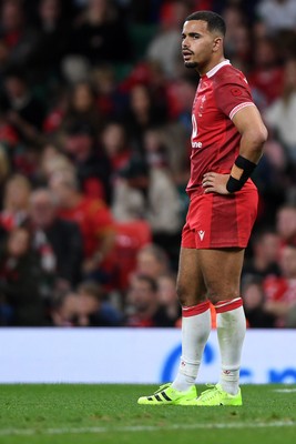091125 - Wales v Argentina - Quilter Nations Series - Dejected Ben Thomas of Wales