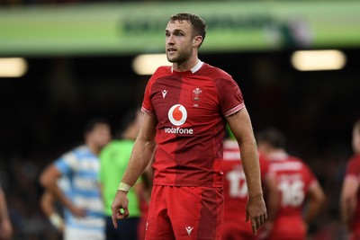 091125 - Wales v Argentina - Quilter Nations Series - Max Llewellyn of Wales