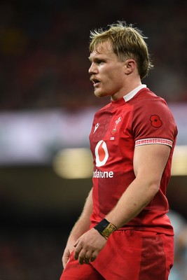 091125 - Wales v Argentina - Quilter Nations Series - Blair Murray of Wales