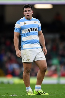 091125 - Wales v Argentina - Quilter Nations Series - Justo Piccardo of Argentina