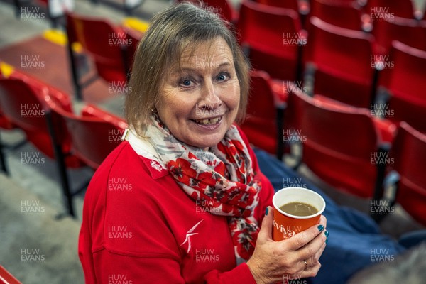 091125 - Wales v Argentina - Quilter Nations Series - Fans ahead of the game