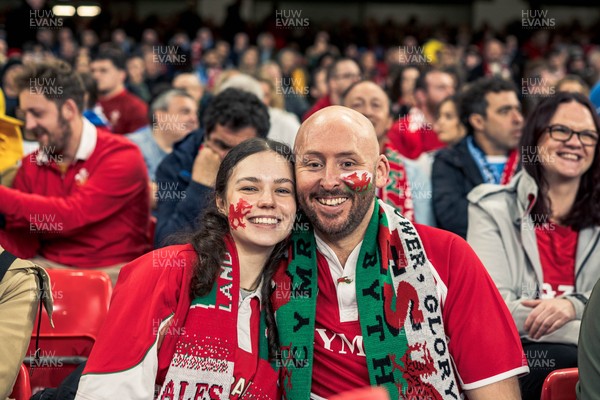091125 - Wales v Argentina - Quilter Nations Series - Wales fans during the game