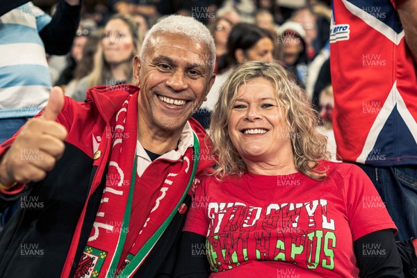 091125 - Wales v Argentina - Quilter Nations Series - Wales fans during the game