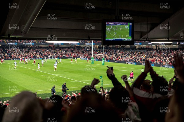 091125 - Wales v Argentina - Quilter Nations Series - Fans view of the game 