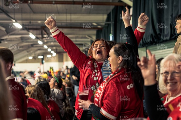 091125 - Wales v Argentina - Quilter Nations Series - Wales fans during the game