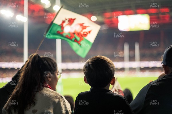091125 - Wales v Argentina - Quilter Nations Series - Fans view of the game 