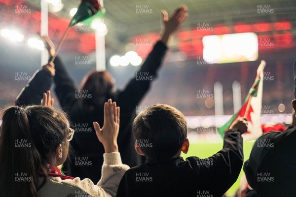 091125 - Wales v Argentina - Quilter Nations Series - Fans view of the game 
