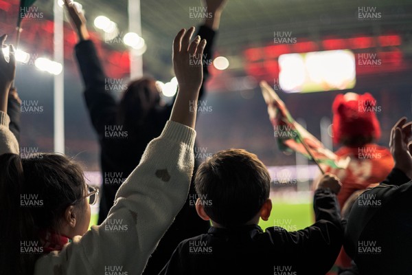 091125 - Wales v Argentina - Quilter Nations Series - Fans view of the game 