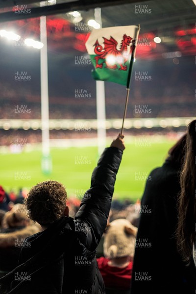 091125 - Wales v Argentina - Quilter Nations Series - Fans view of the game 