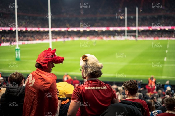 091125 - Wales v Argentina - Quilter Nations Series - Wales fans during the game