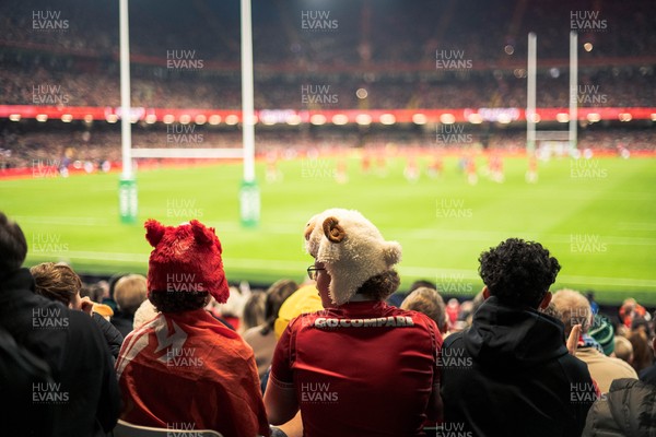 091125 - Wales v Argentina - Quilter Nations Series - Wales fans during the game