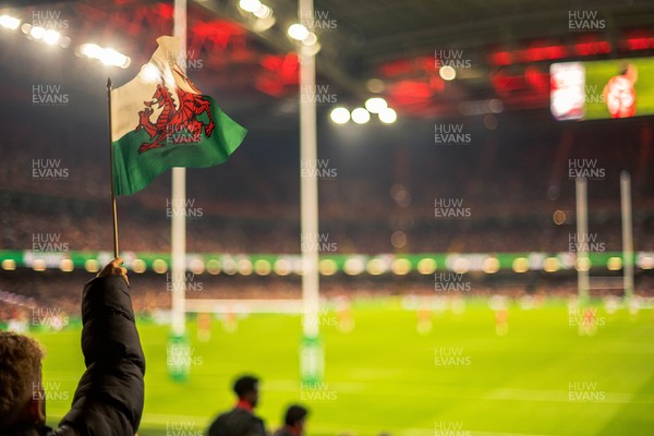 091125 - Wales v Argentina - Quilter Nations Series - Wales fans during the game
