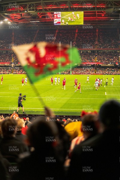 091125 - Wales v Argentina - Quilter Nations Series - Wales fans during the game