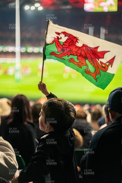 091125 - Wales v Argentina - Quilter Nations Series - Wales fans during the game