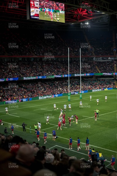 091125 - Wales v Argentina - Quilter Nations Series - Fans’ view of the game 