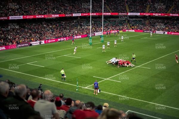 091125 - Wales v Argentina - Quilter Nations Series - Fans’ view of the game 