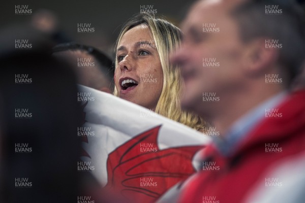091125 - Wales v Argentina - Quilter Nations Series - Wales fans during the game 
